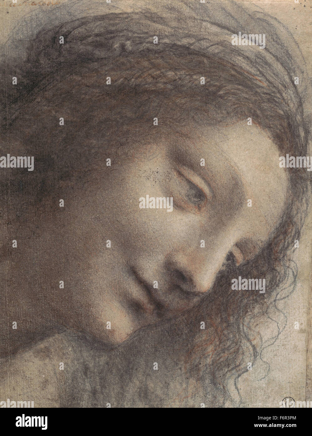Leonardo da Vinci - The Head of the Virgin in Three Quarter View Facing Right Stock Photo