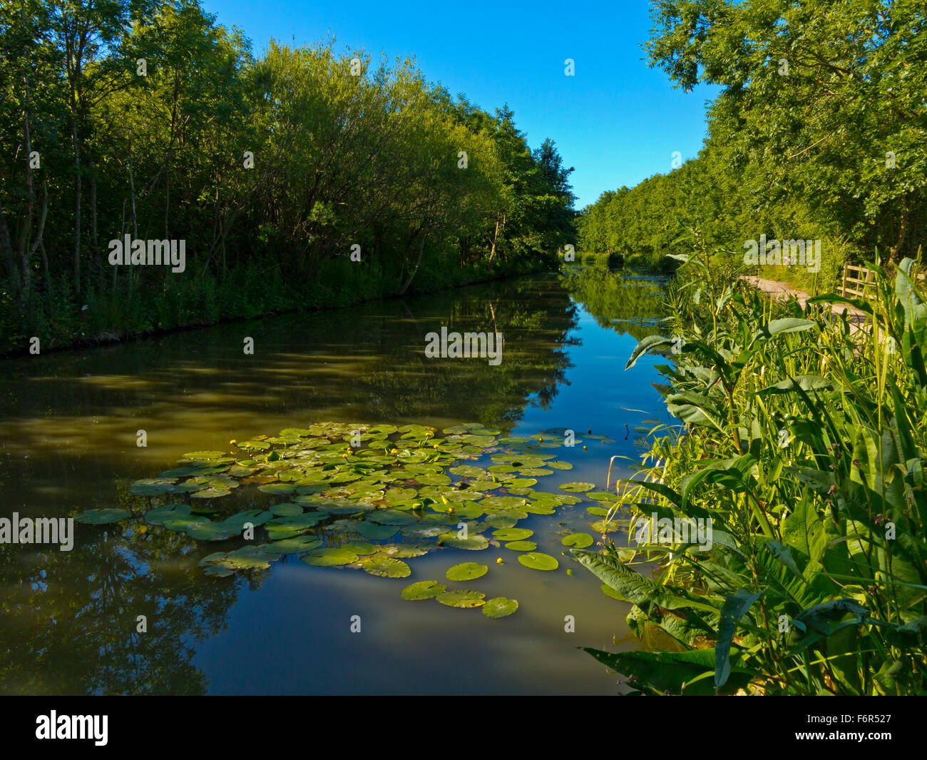 The Nottingham Canal at Awsworth Nottinghamshire England UK built 1796