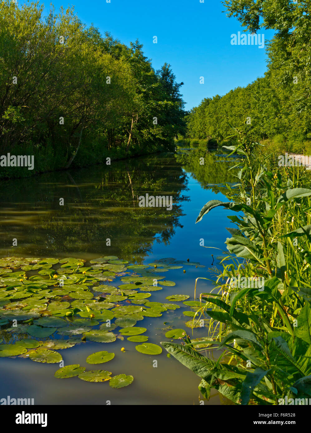 The Nottingham Canal at Awsworth Nottinghamshire England UK built 1796