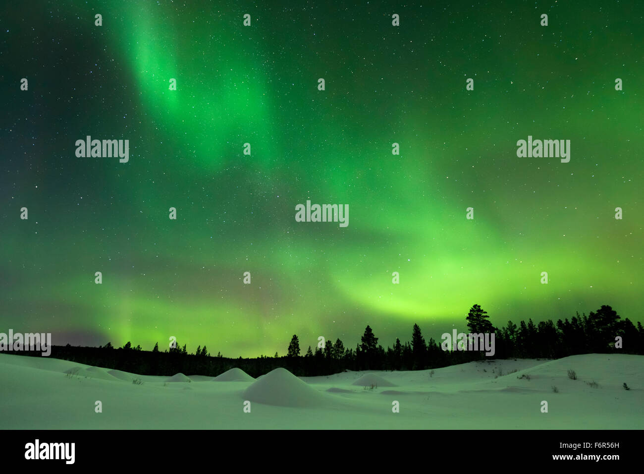 Spectacular aurora borealis (northern lights) over a snowy winter landscape in Finnish Lapland. Stock Photo