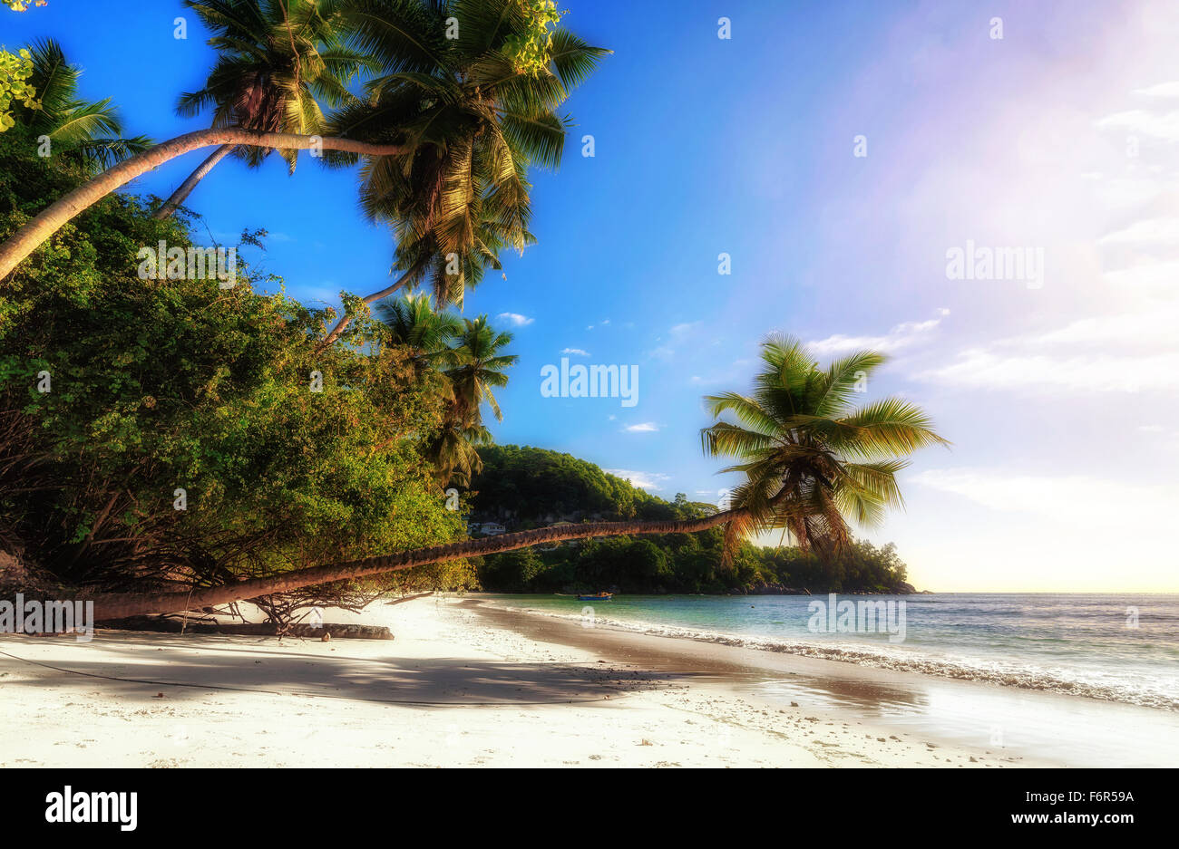 Soft golden light hi-res stock photography and images - Alamy