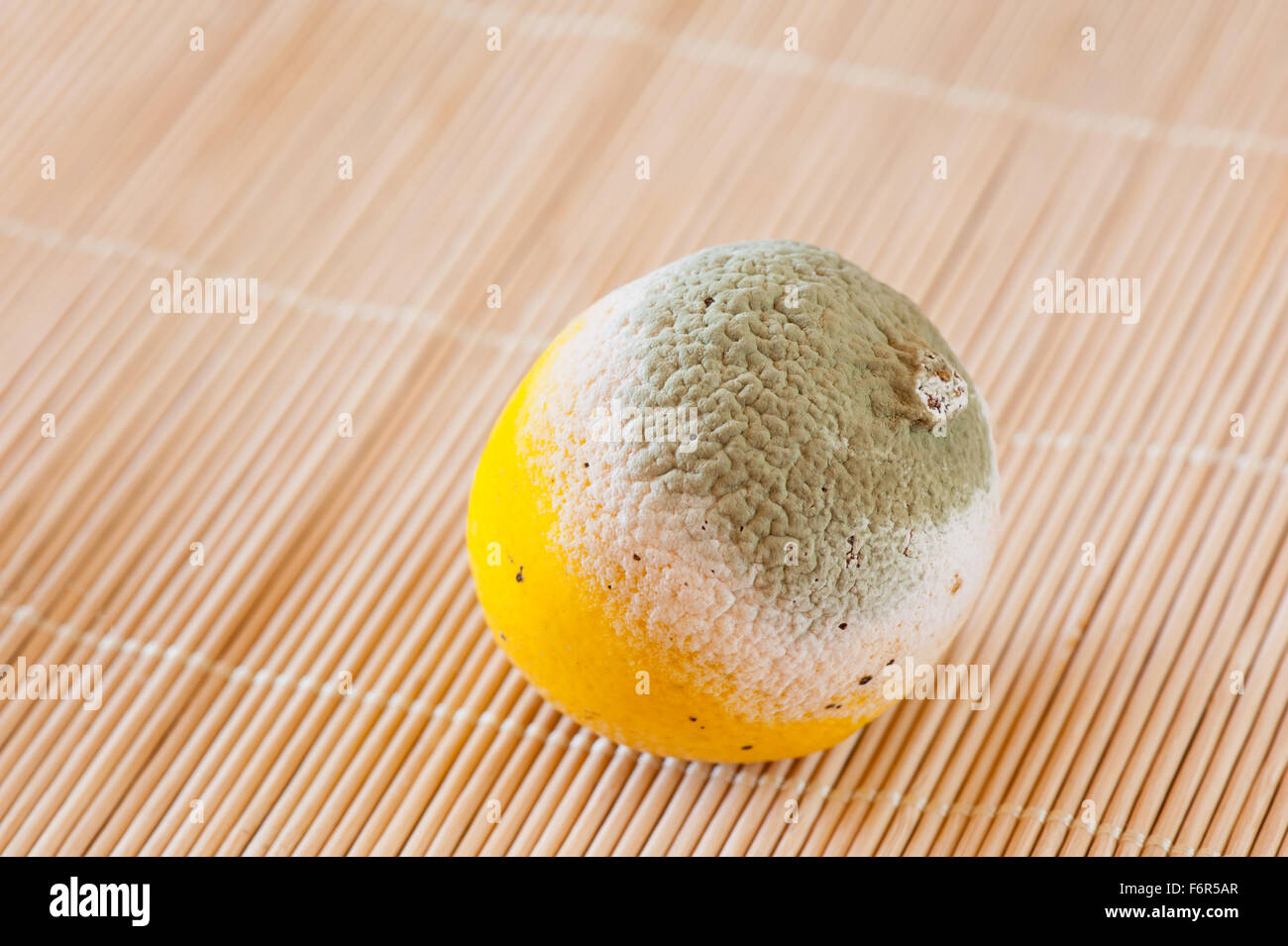 Green mold on yellow lemon fruit lying on mat, moldy and decayed bad