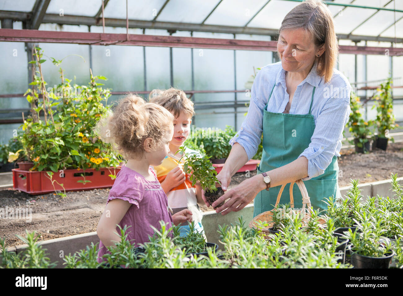 Female gardener and children in greenhouse Stock Photo Alamy