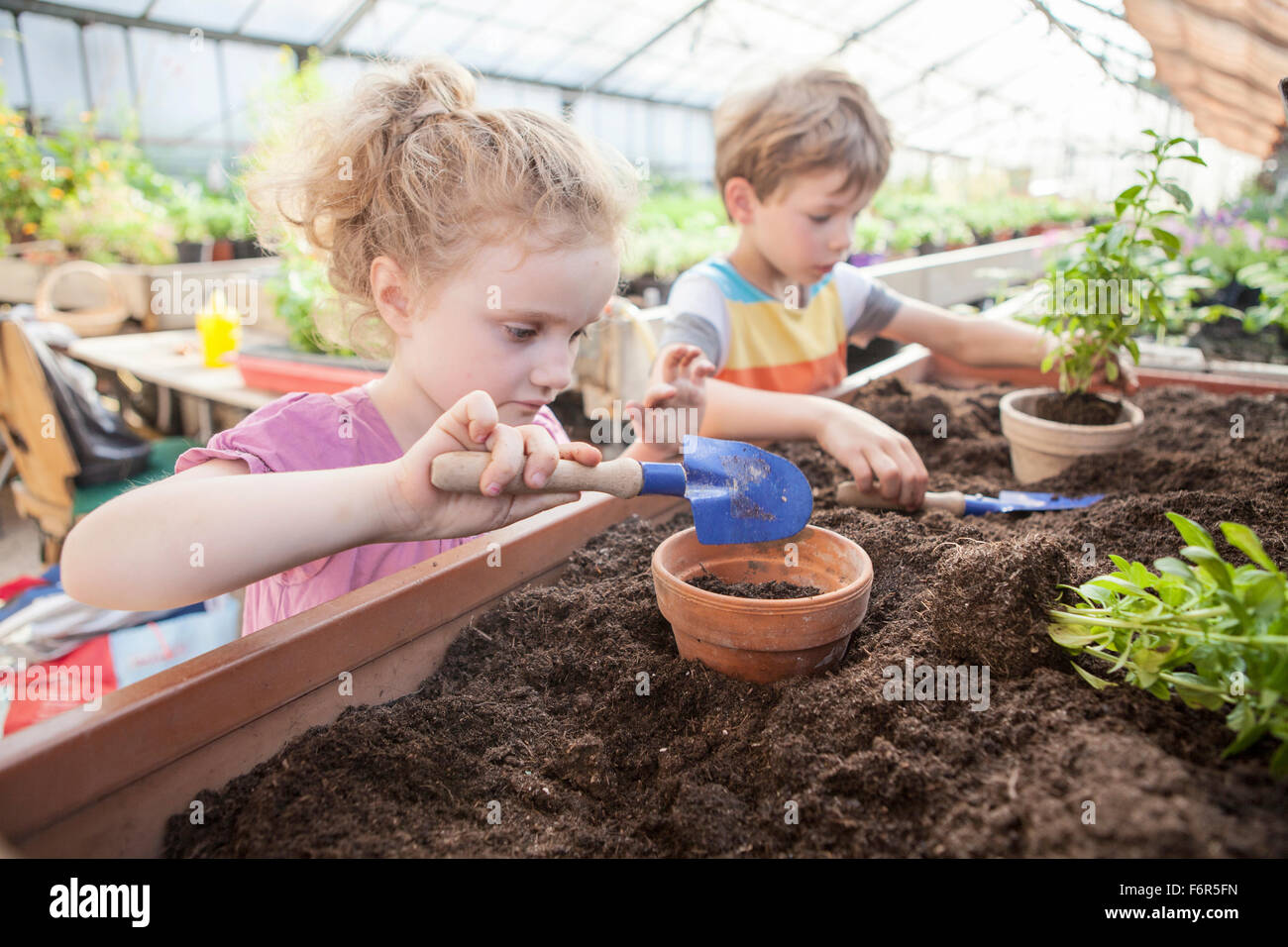 Two children in greenhouse planting plants Stock Photo Alamy