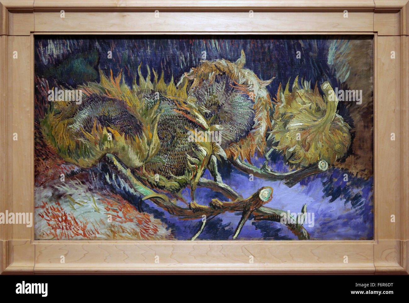 The Sunflowers By Vincent Van Gogh High Resolution Stock Photography