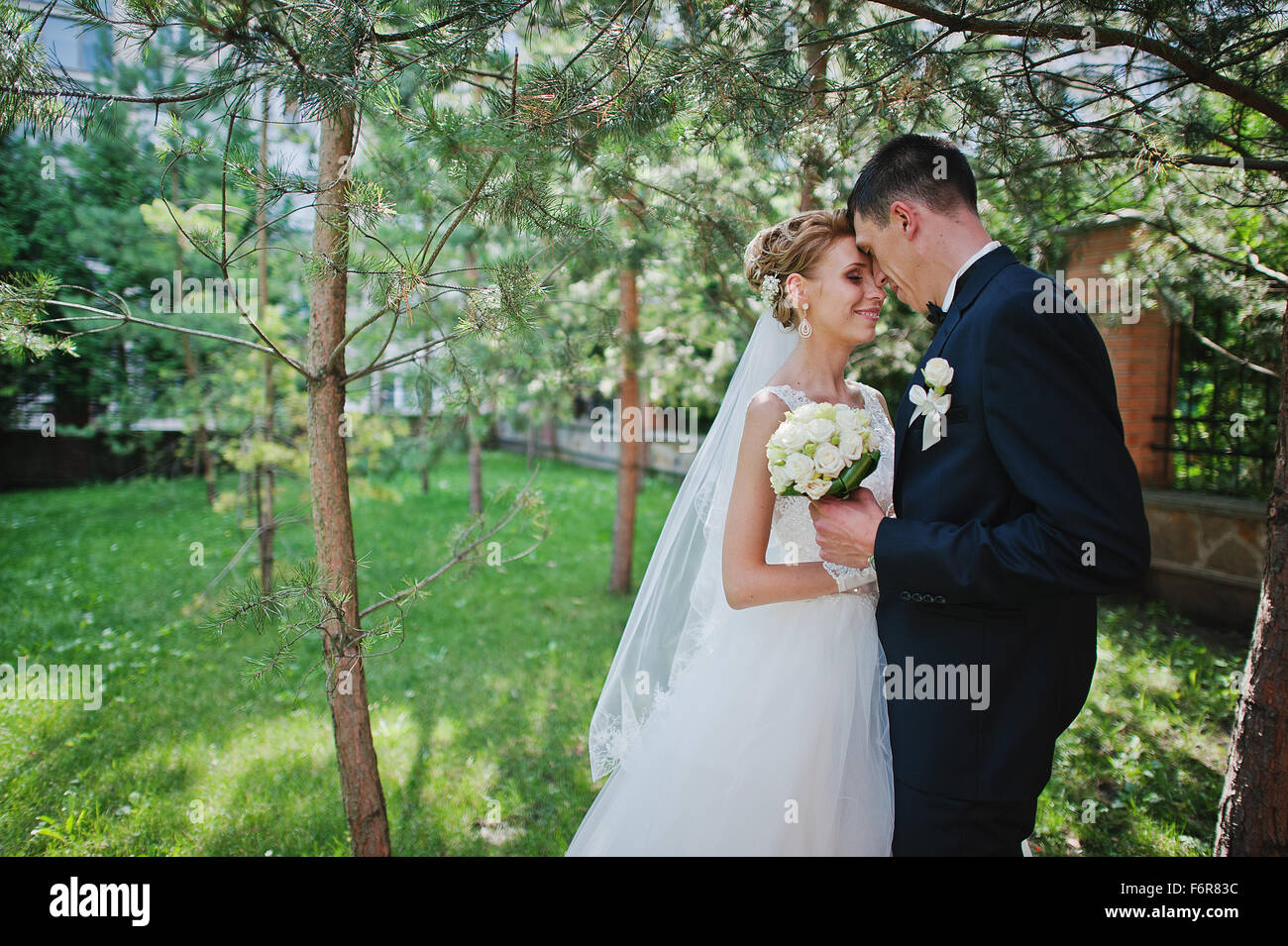 exciting elegant wedding couple walking at park in love Stock Photo - Alamy