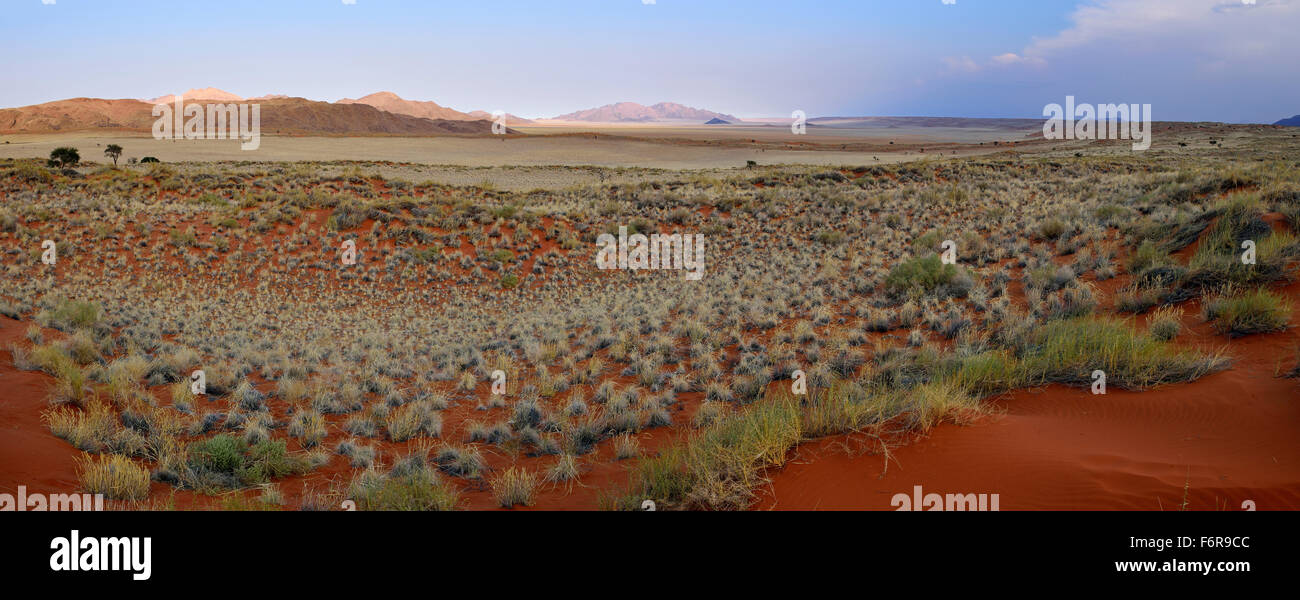 View over Namib Rand Nature Reserve, Namib Desert, Namibia Stock Photo ...