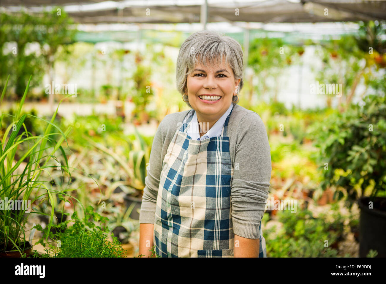 Beautiful mature woman gardening and looking at camera while smiling Stock Photo