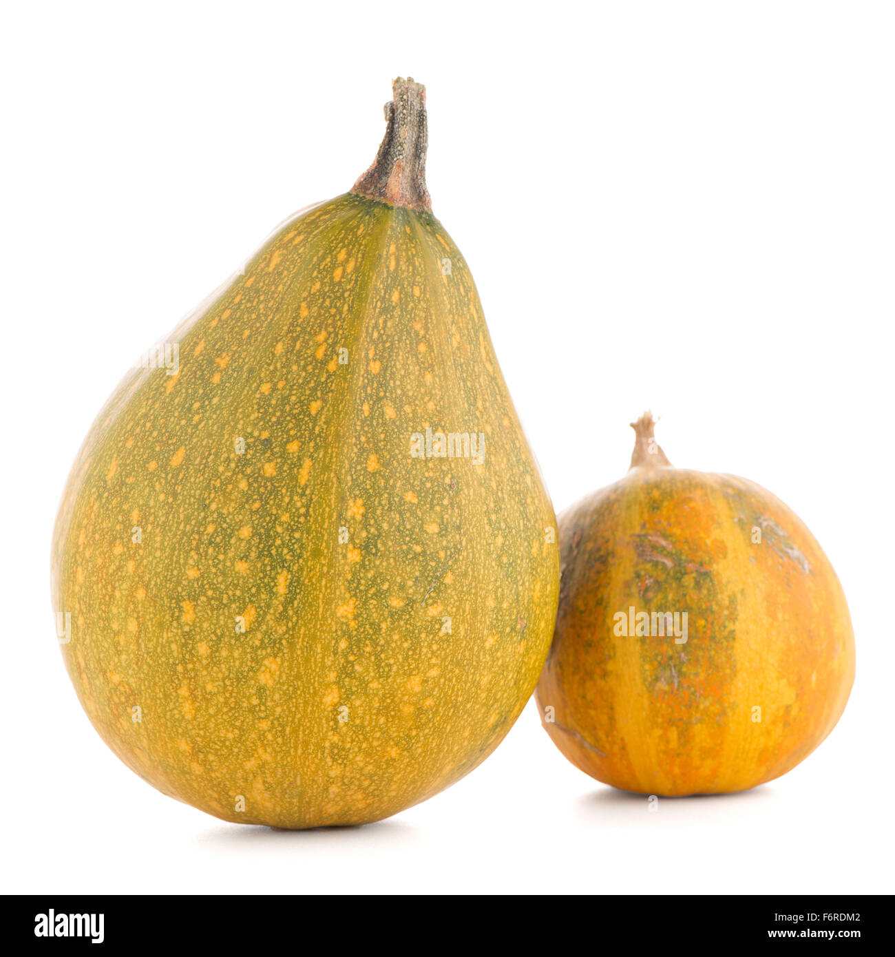 Pumpkins isolated on white background Stock Photo - Alamy