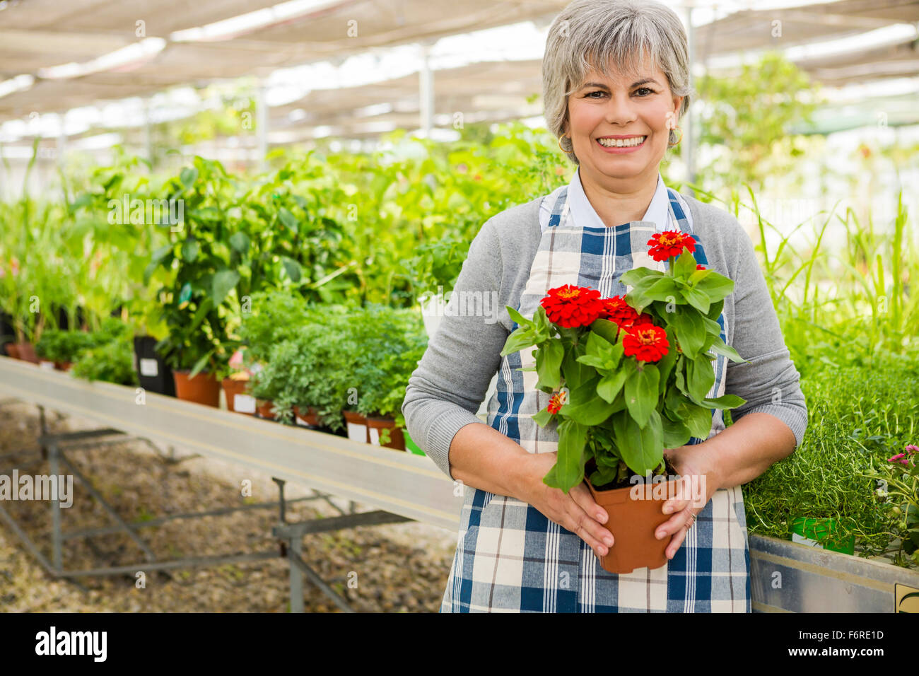 Mature woman in a greenhouse holding flowers Stock Photo - Alamy