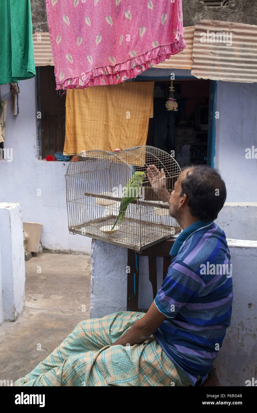 Dhaka, Bangladesh. 15th Nov, 2015. DHAKA, BANGLADESH 15th November: A man talking with his pet bird in Old Dhaka on November 15, 2015.Old Dhaka is a term used to refer to the historic old city of Dhaka, the capital of modern Bangladesh. It was founded in 1608 as Jahangir Nagar, the capital of Mughal Bengal. © Zakir Hossain Chowdhury/ZUMA Wire/Alamy Live News Stock Photo