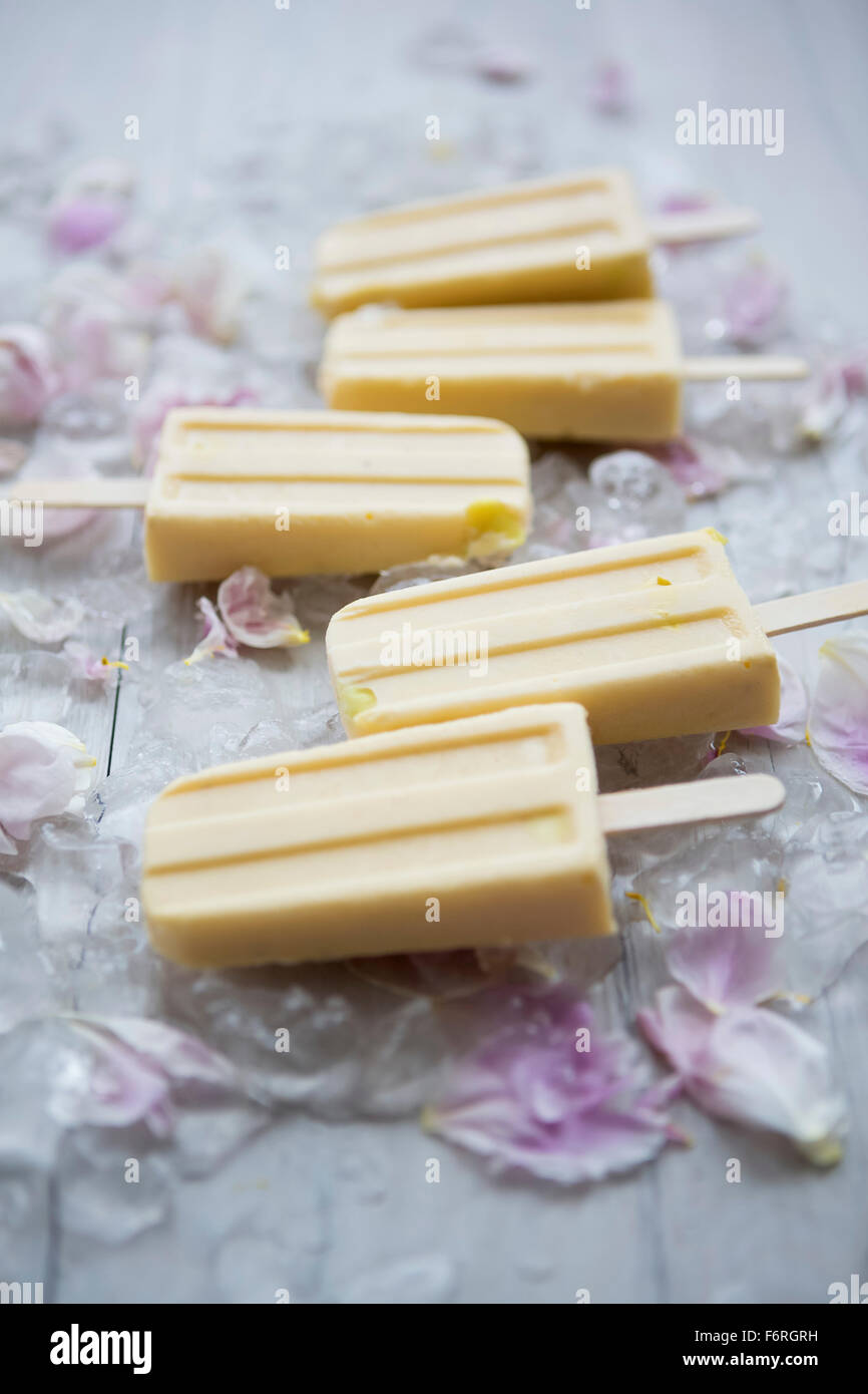Mango Popsicle Lollies on Ice and Flowers Stock Photo