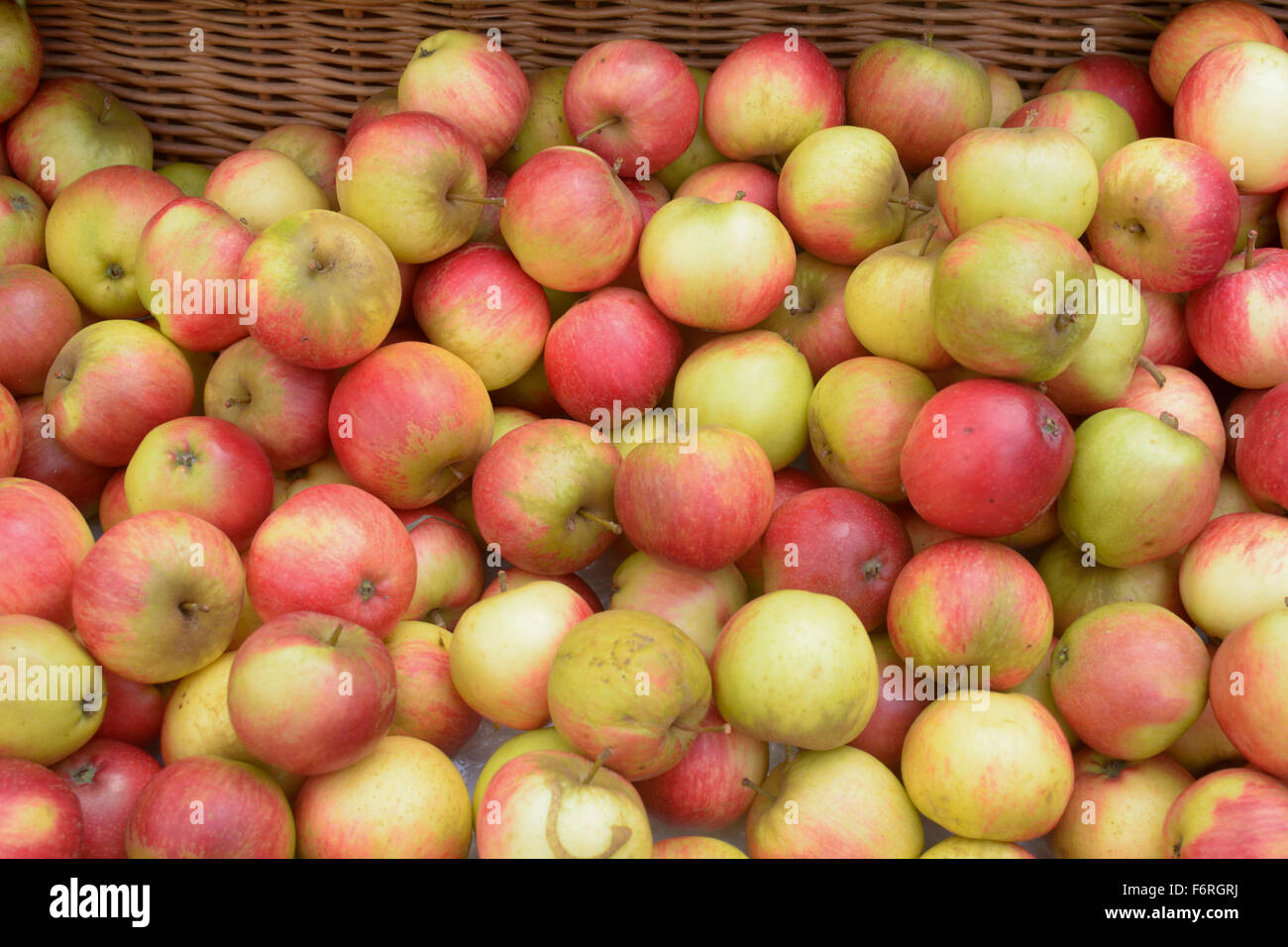 A basket of apples for sale at Riverford Farm Shop sellers of organic