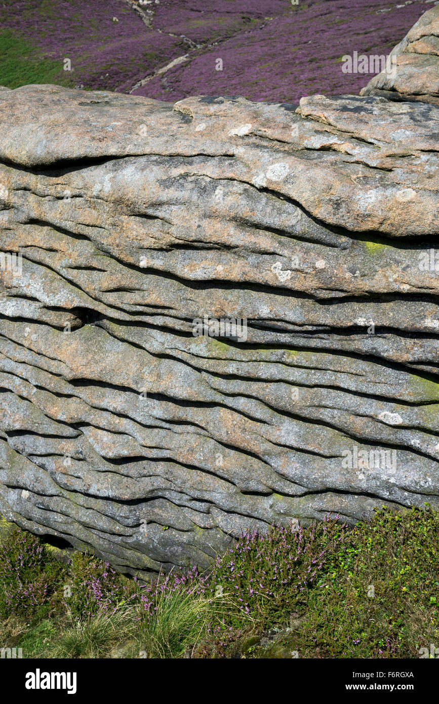 Unusual rock formations of weathered gritstone at Ringing Roger on Kinder Scout in the Peak District, Derbyshire. Stock Photo