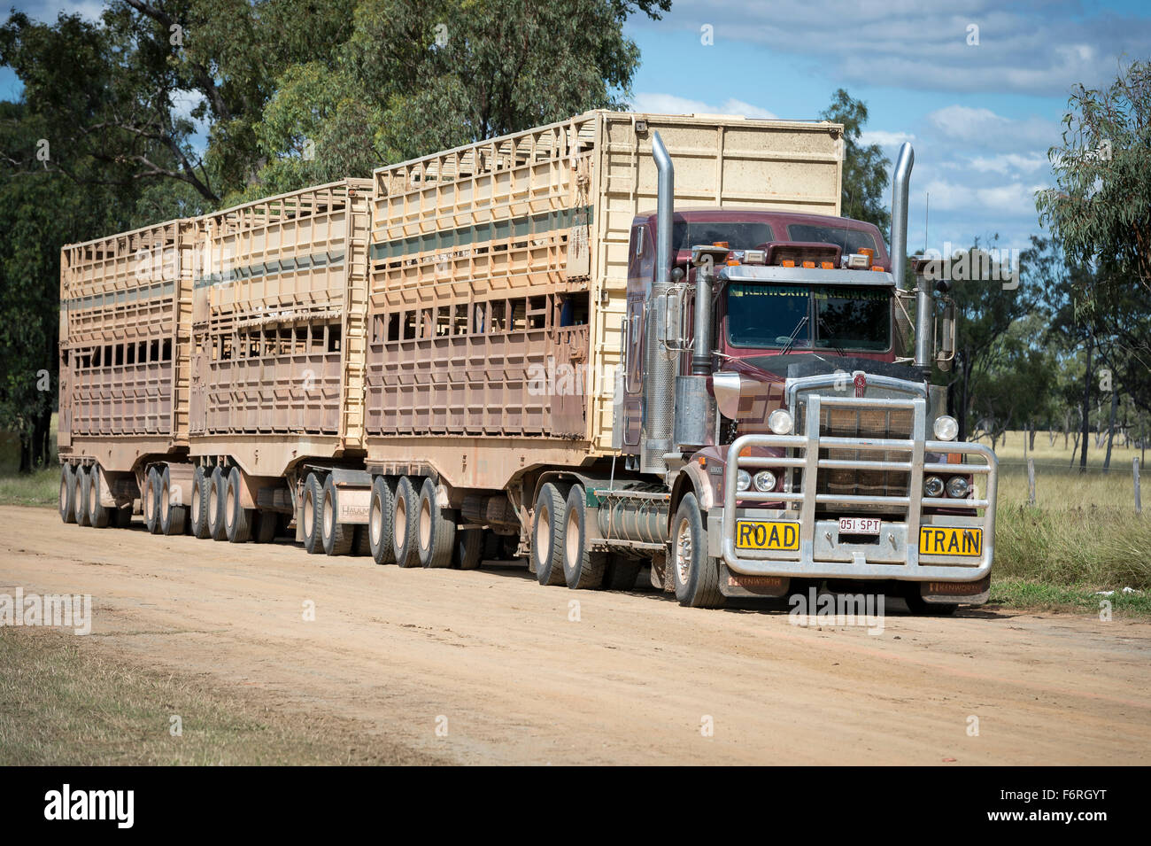 Road train cattle truck in outback Queensland Australia Stock Photo
