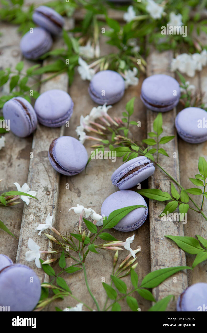 Lavender & Chocolate Macarons with Jasmine Flowers Stock Photo