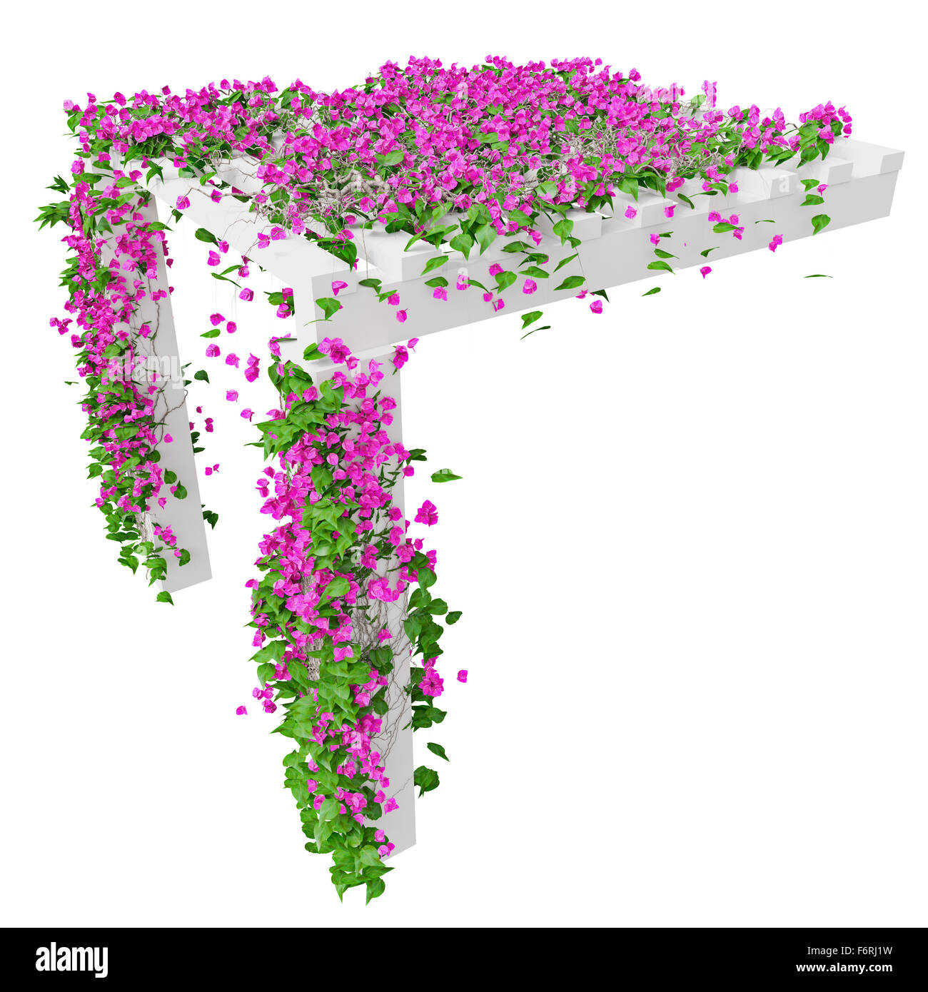 Ivy With Pink Flowers