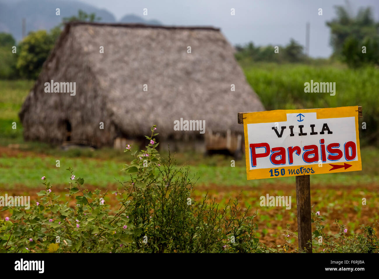 Sign to a private pension, Villa Paraiso, covered with leaves barn for drying tobacco leaves, Viñales, Cuba Stock Photo