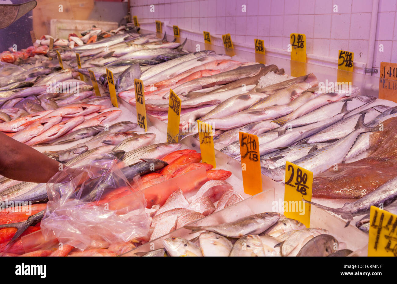 Fresh fish market in Chinatown New York City Manhattan selling fish to