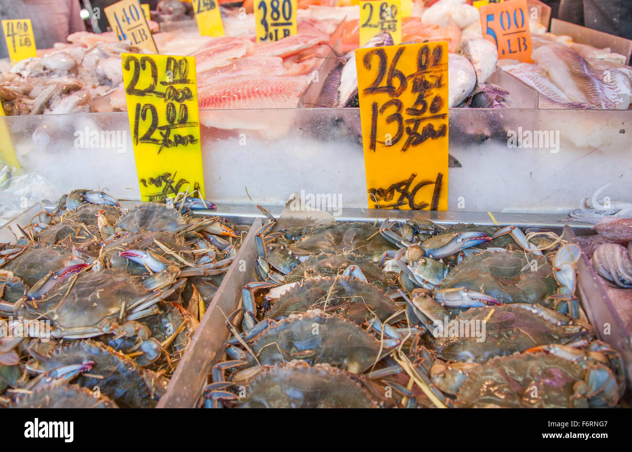Fresh fish market in Chinatown New York City Manhattan selling fish to