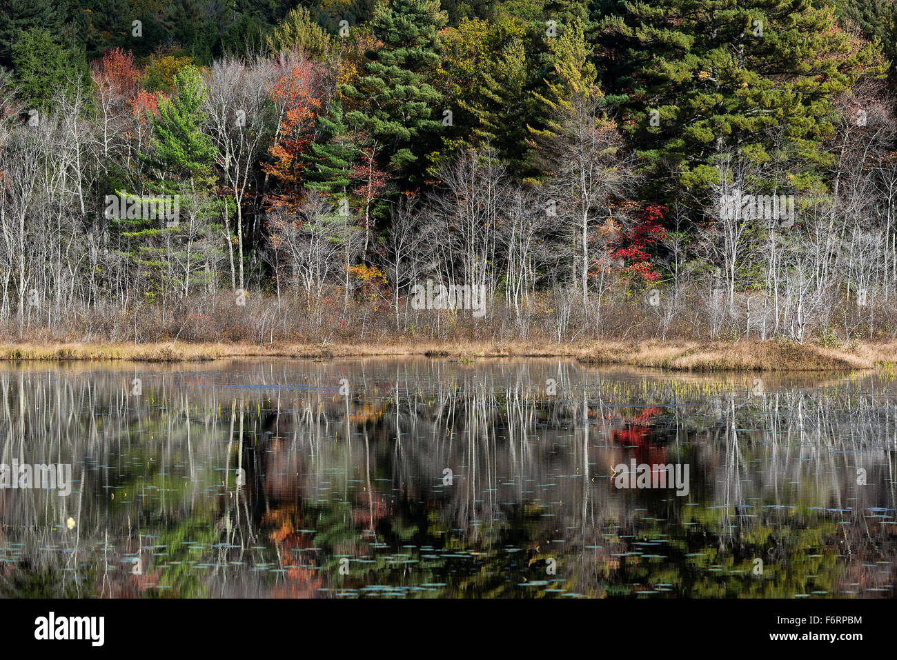 Scenic autumn landscape, Jaffrey, New Hampshire, USA Stock Photo