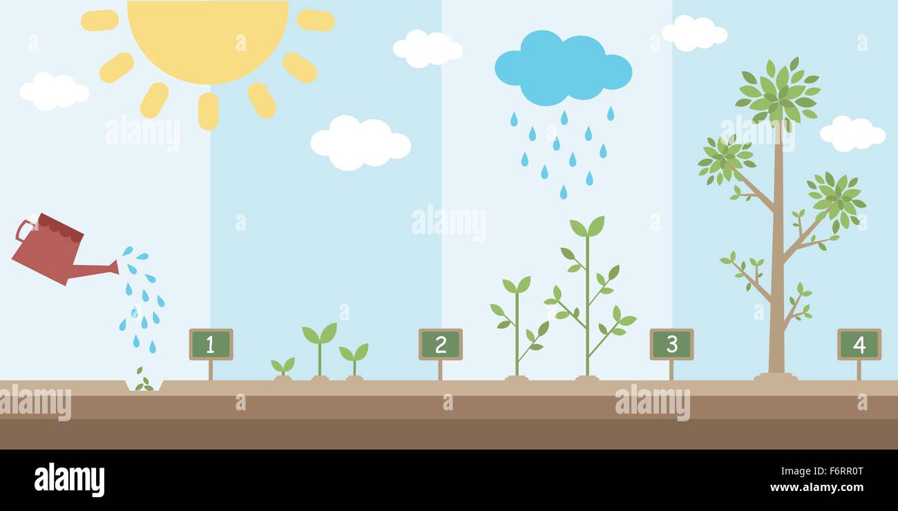 flat background of planting tree process Stock Vector Image & Art - Alamy
