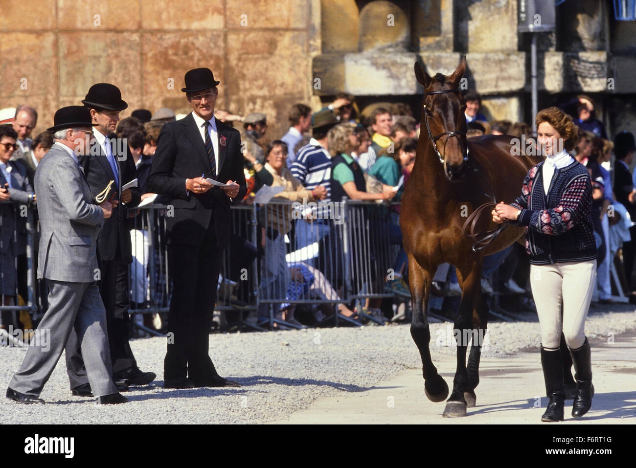 Judges checking a horse at the Badminton Horse Trails. Gloucester. England. UK Stock Photo