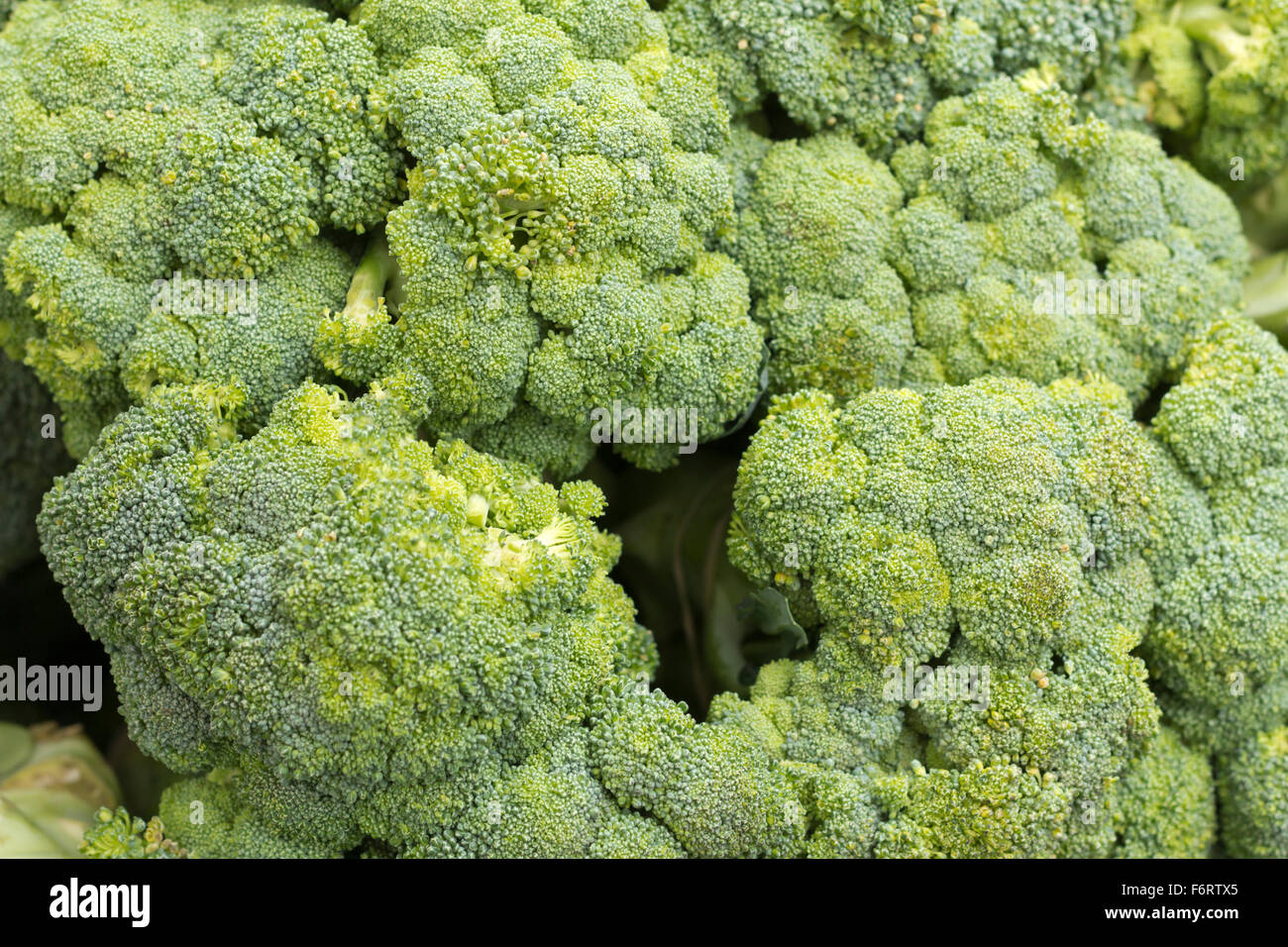 Broccoli bunches hi-res stock photography and images - Alamy