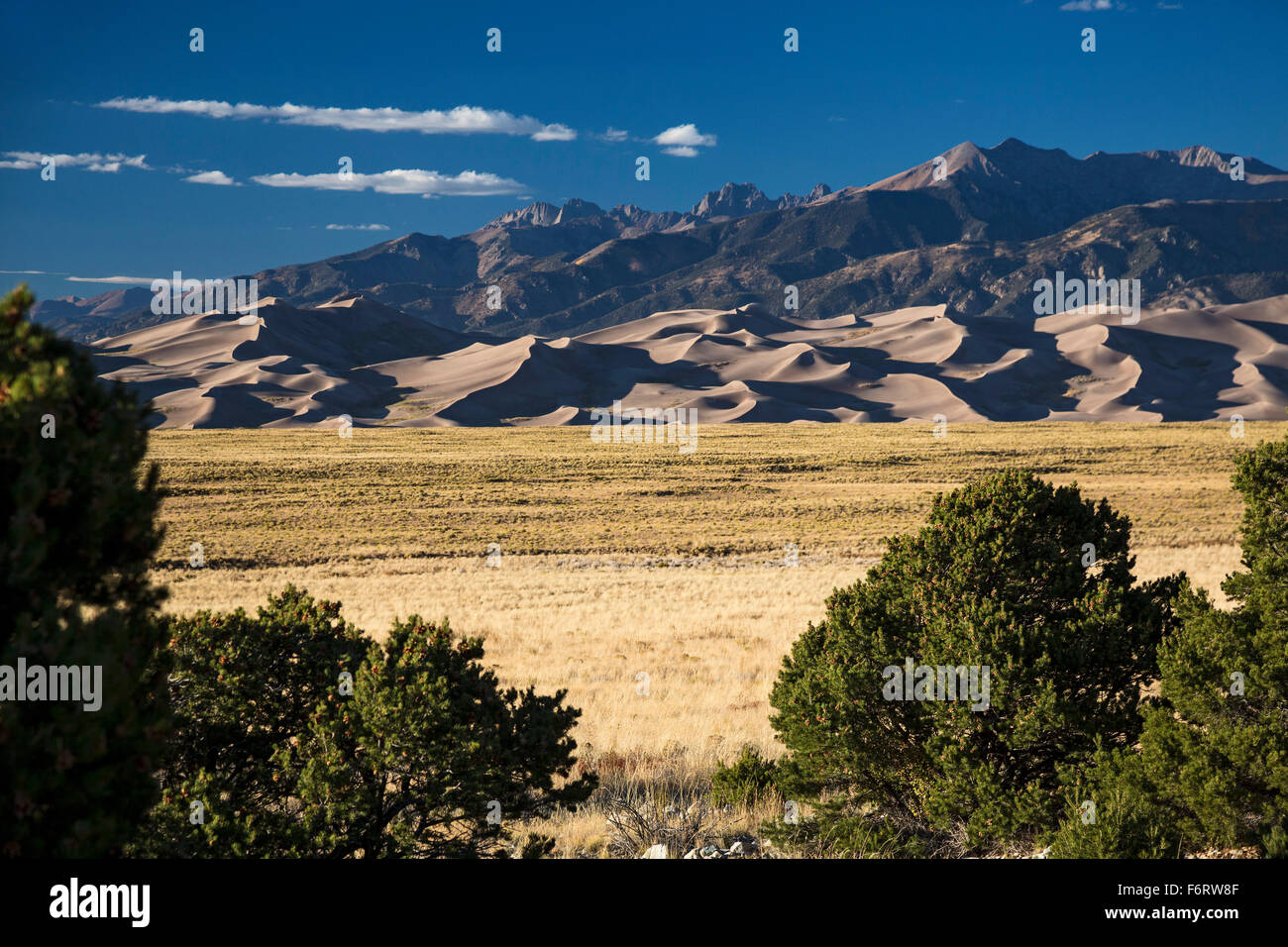 Mosca, Colorado - Great Sand Dunes National Park and Preserve. Stock Photo