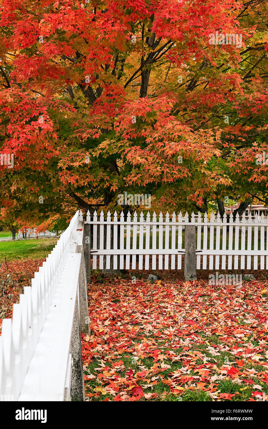 Autumn scenic, Canterbury, New Hampshire, USA Stock Photo