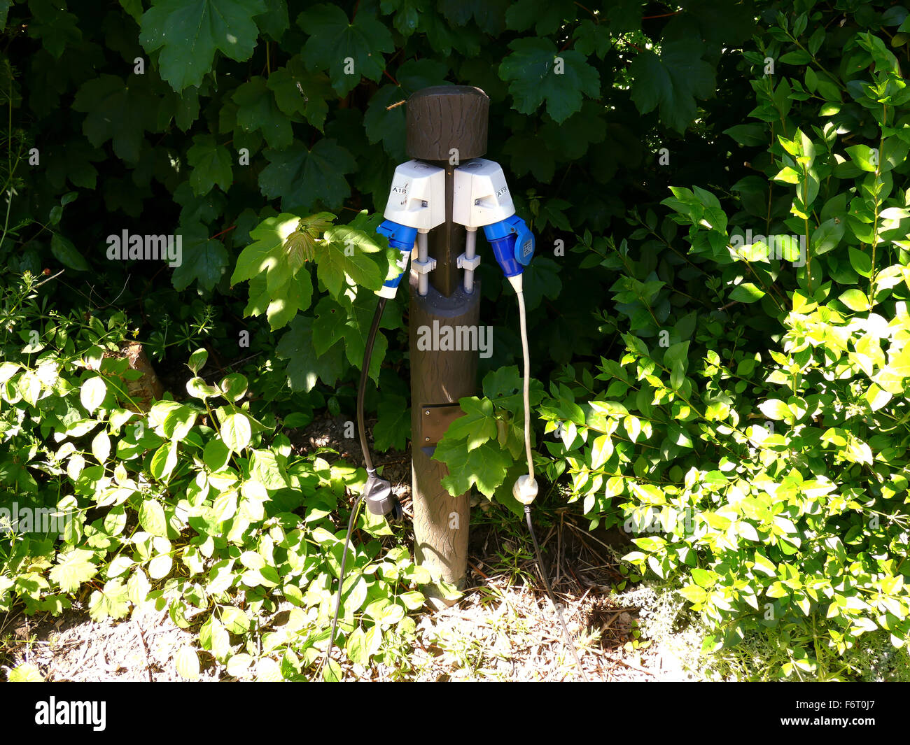 AC power sockets at a camping site, Full service campground Electricity Stock Photo