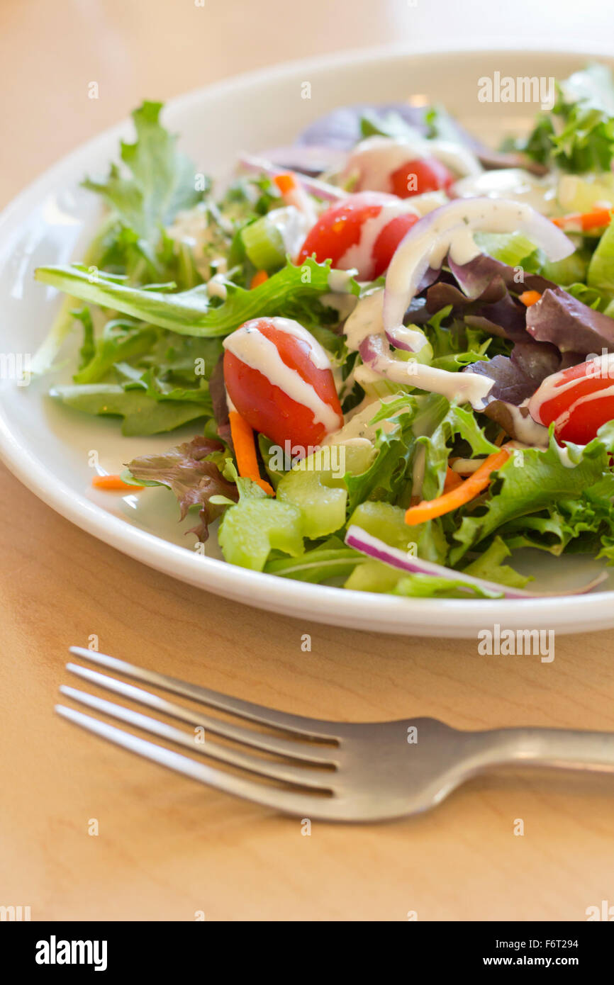 https://c8.alamy.com/comp/F6T294/fresh-organic-garden-salad-with-creamy-ranch-dressing-F6T294.jpg