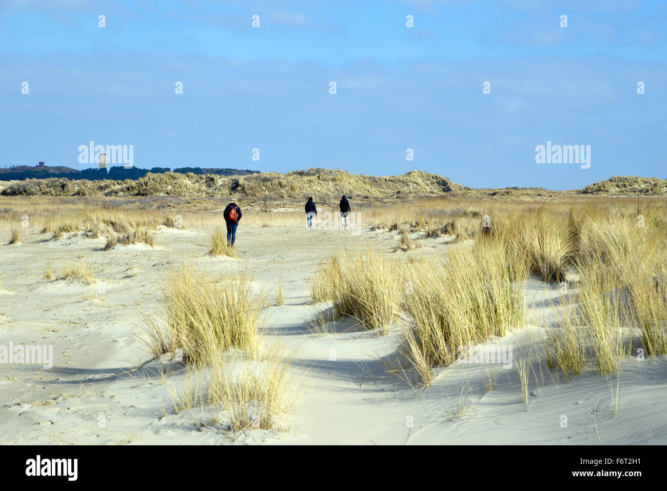Beach Terschelling The Netherlands Stock Photo Alamy Beach Terschelling The Netherlands Stock Photo Alamy