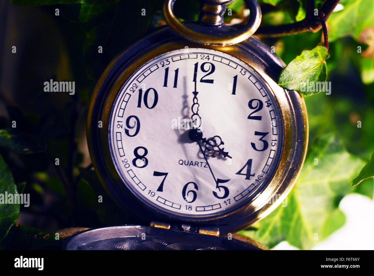 fobwatch,watch,time,distortion,timewarp,ivy leaves ,abstract Stock Photo