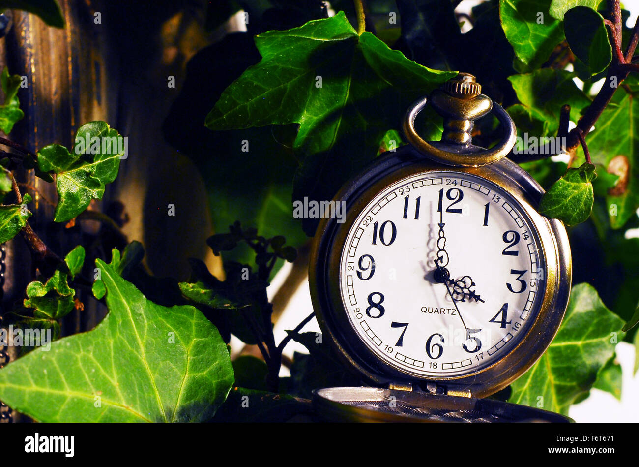 fobwatch,watch,time,distortion,timewarp,ivy leaves ,abstract Stock Photo