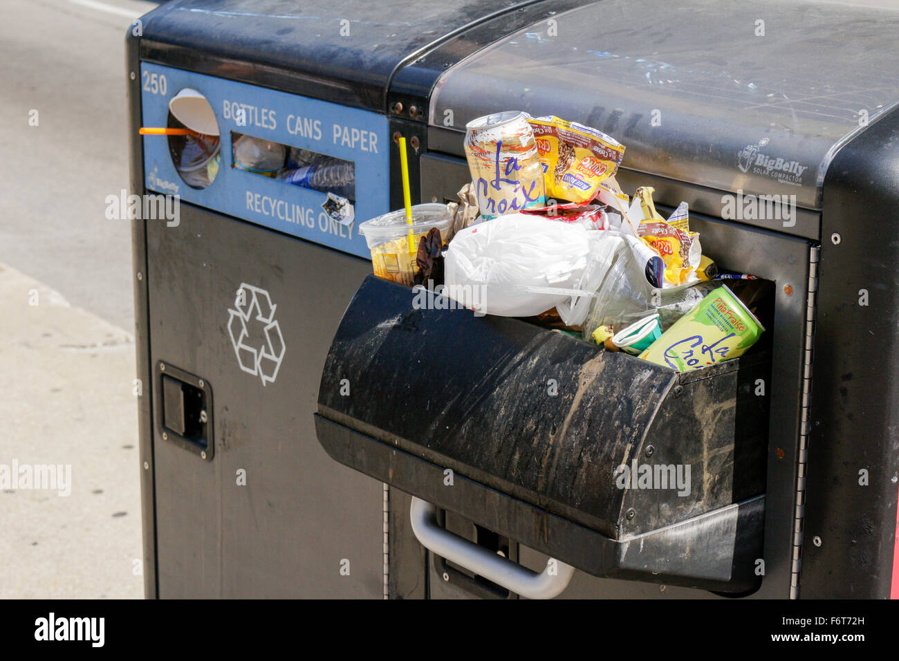 Disposable Trash Cans in Chicago