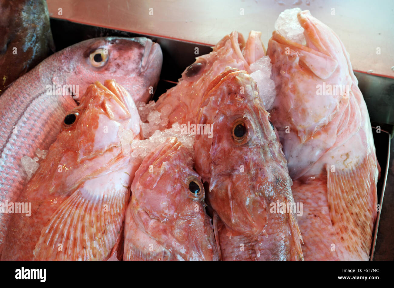 Fresh fish and ice on a stall at the fish market of Marsaxlokk, Malta Stock Photo