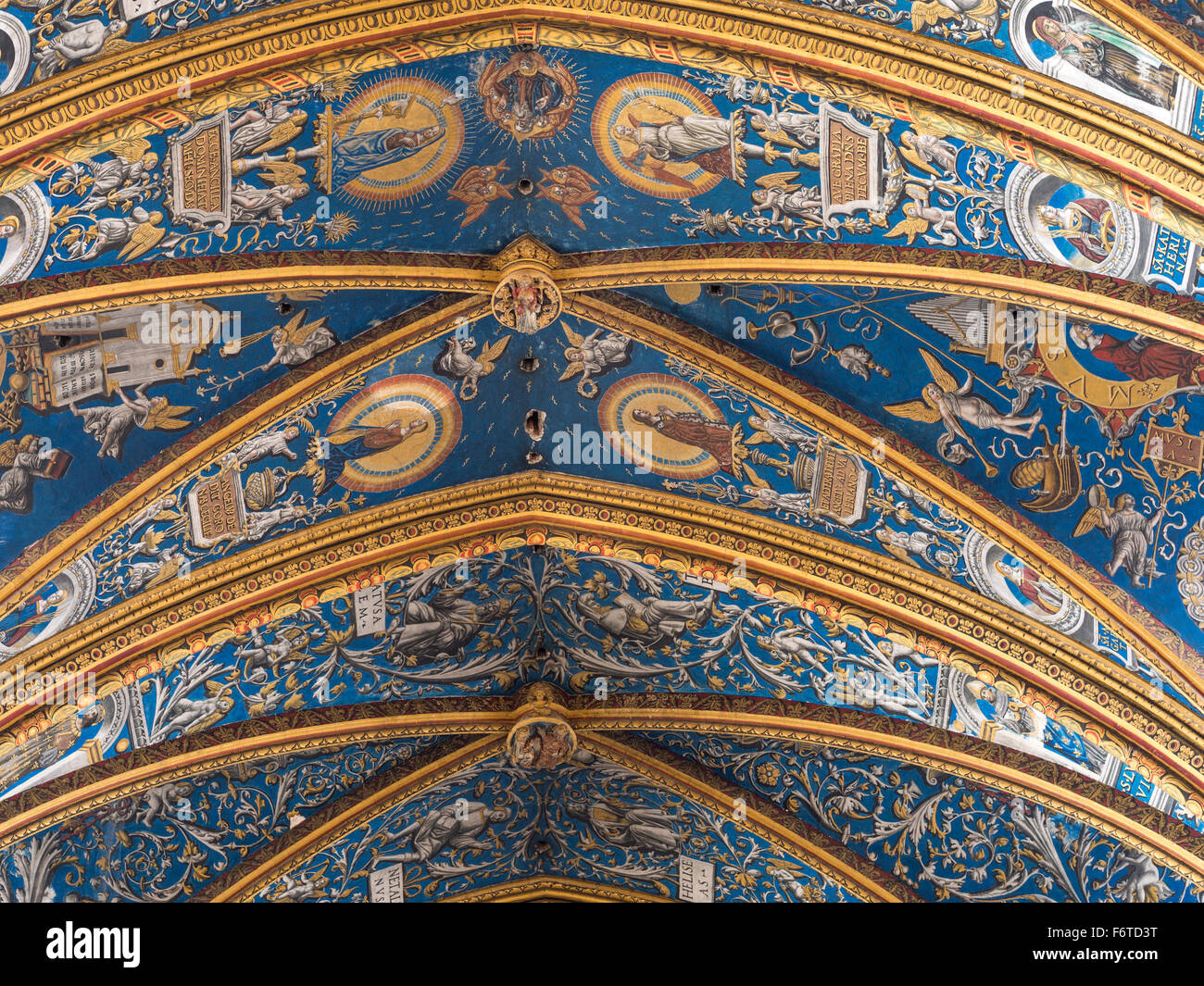 Detail of St Cecil Cathedral Ceiling. The ornate decorations in blue and gold cover the ceiling of the Cathedral. Stock Photo