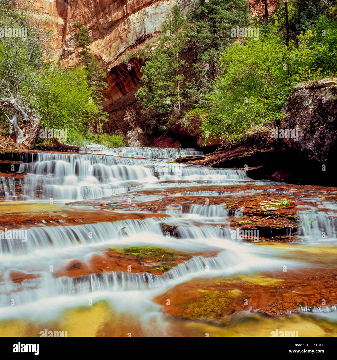 archangel cascades on left fork north creek along route to the subway in zion national park, utah Stock Photo