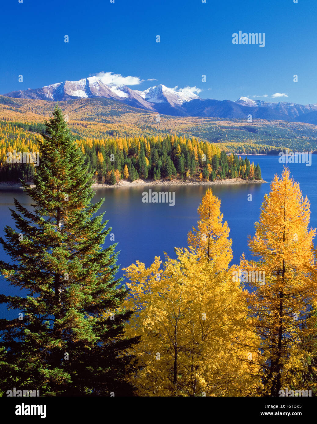 fall colors and the flathead range (great northern mountain and mount grant) above hungry horse reservoir near hungry horse, montana Stock Photo