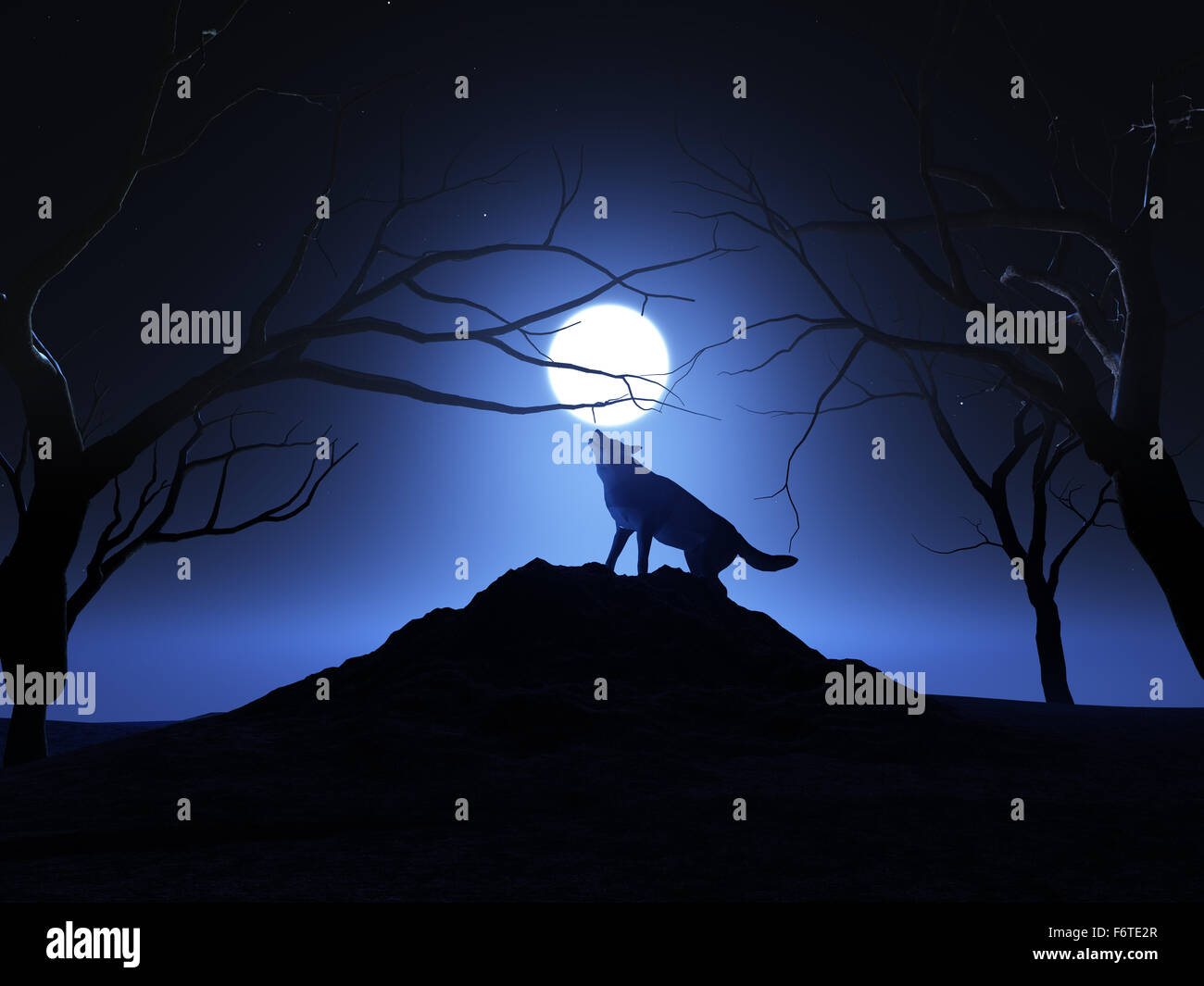 3D landscape background with a wolf howling at the moon Stock Photo