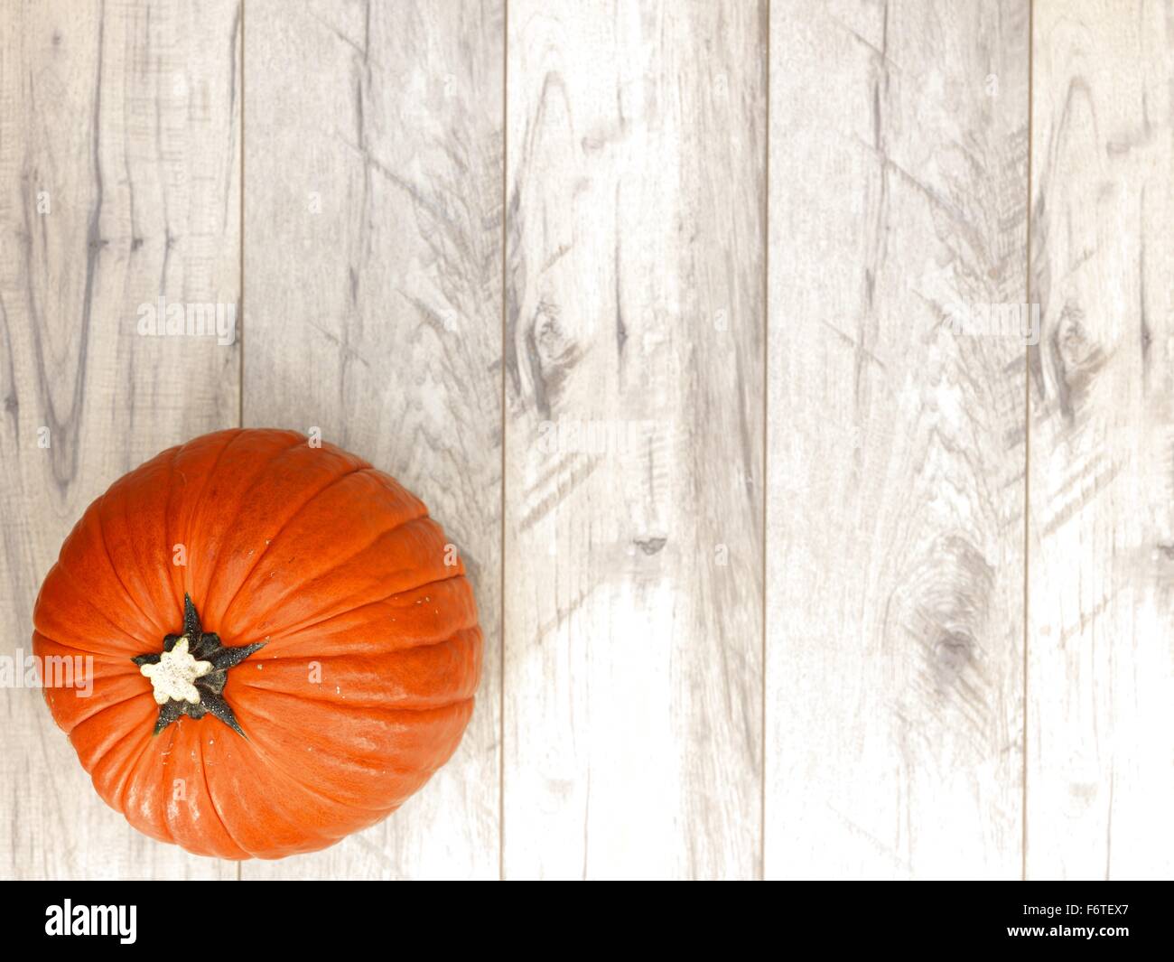 A studio photo of a Halloween pumpkin on artificial grass Stock Photo ...