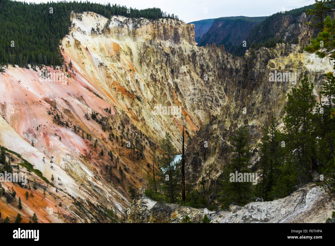 Grand Canyon of Yellowstone view Stock Photo Alamy