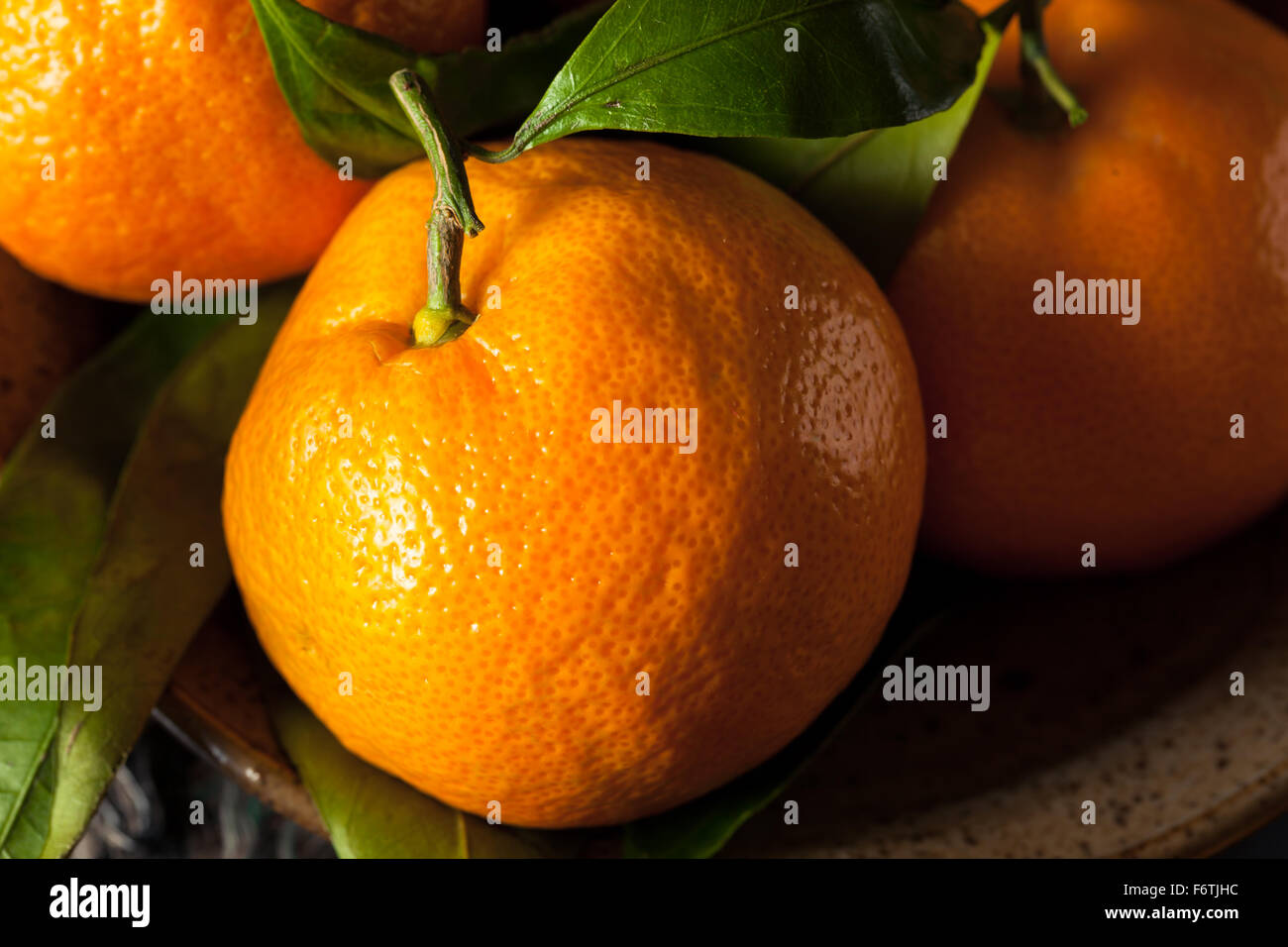 Raw Organic Satsuma Oranges with Green Leaves Stock Photo Alamy