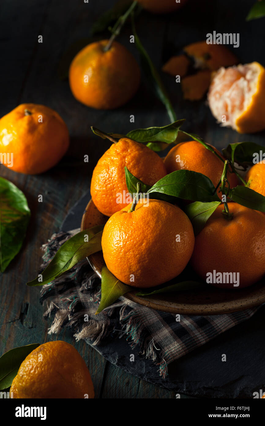 Raw Organic Satsuma Oranges with Green Leaves Stock Photo Alamy