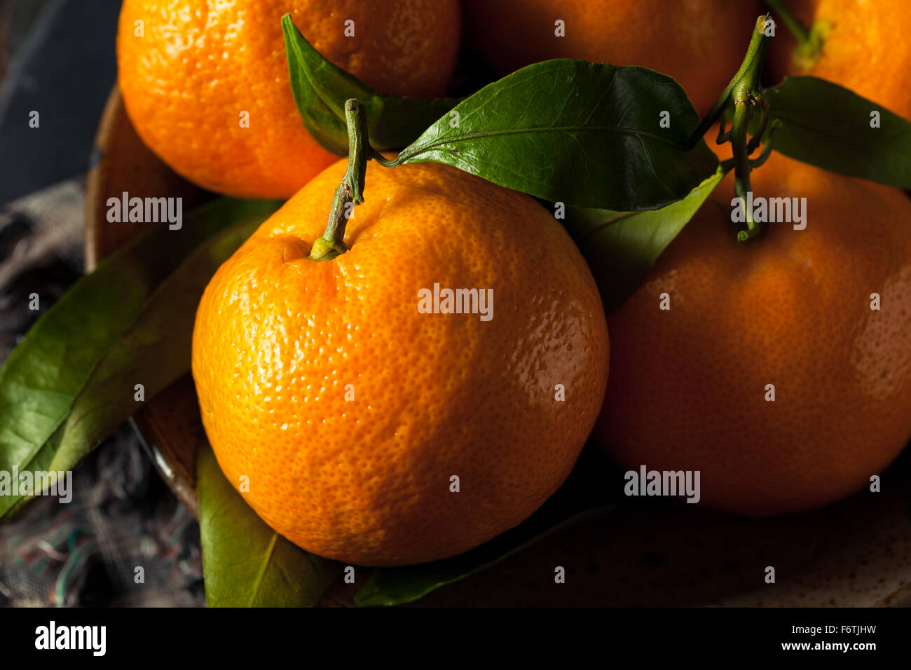 Raw Organic Satsuma Oranges with Green Leaves Stock Photo Alamy