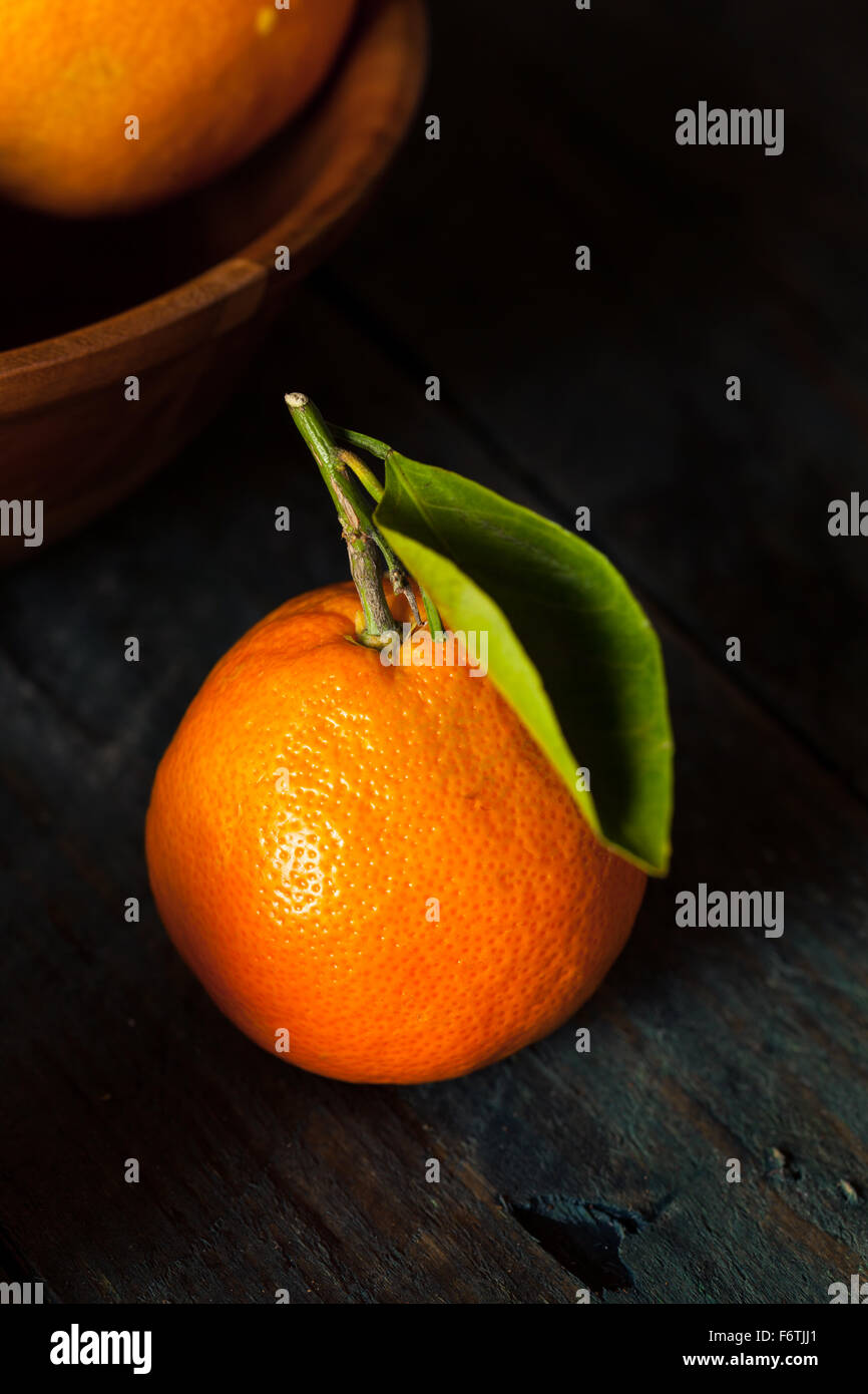 Raw Organic Satsuma Oranges with Green Leaves Stock Photo Alamy