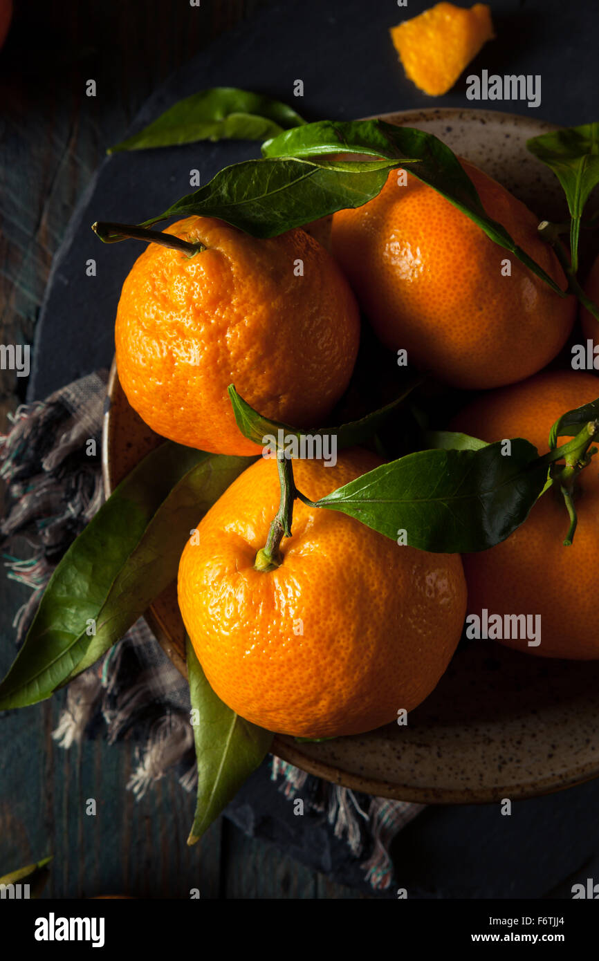 Raw Organic Satsuma Oranges with Green Leaves Stock Photo Alamy