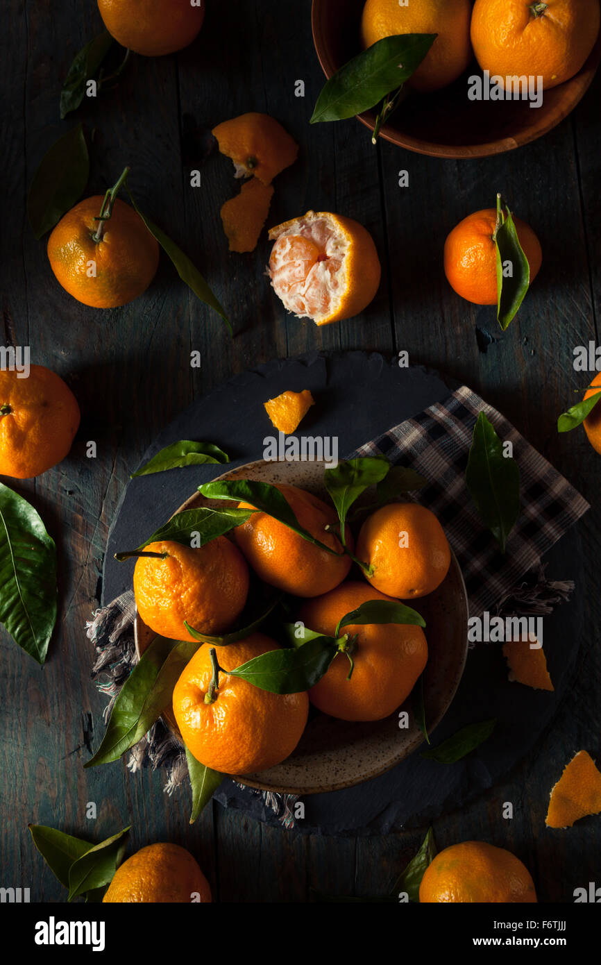 Raw Organic Satsuma Oranges with Green Leaves Stock Photo