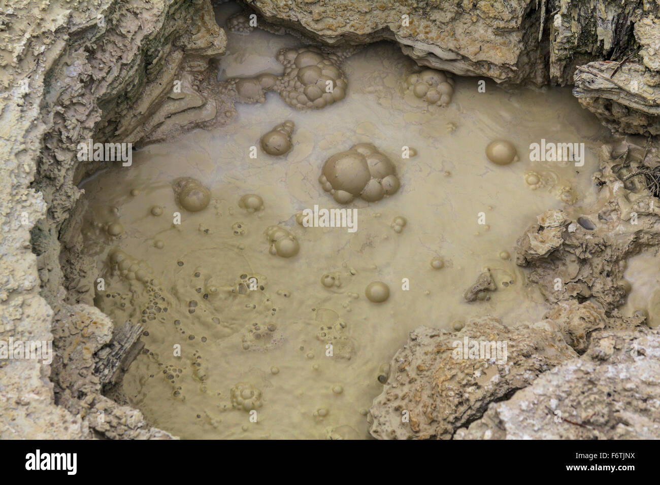 Bubbling Mud Hole in Yellowstone Stock Photo Alamy
